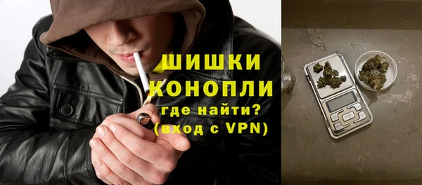 PSILOCYBIN Ладушкин
