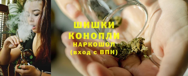 PSILOCYBIN Ладушкин