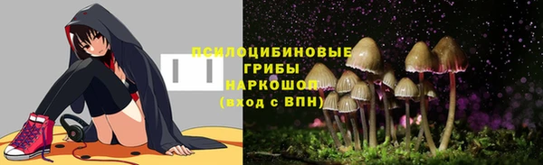 PSILOCYBIN Ладушкин