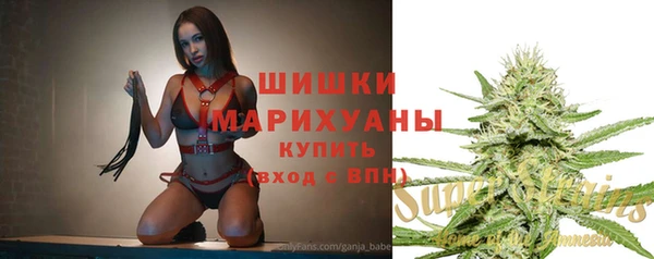 PSILOCYBIN Ладушкин