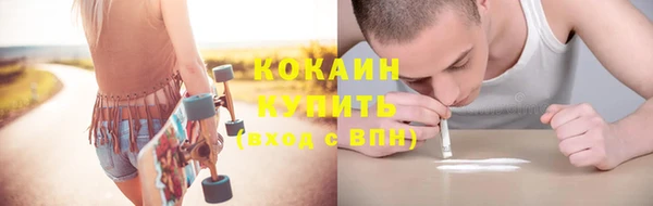 PSILOCYBIN Ладушкин