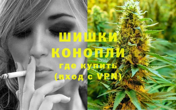 сатива Лагань