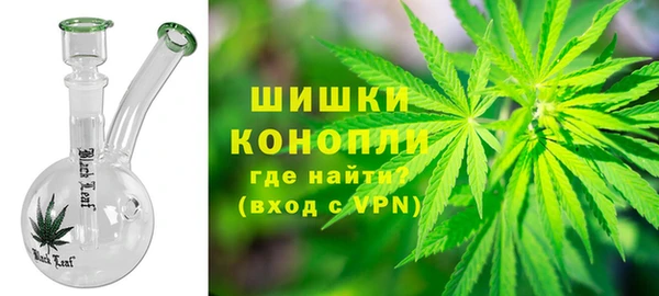 PSILOCYBIN Ладушкин